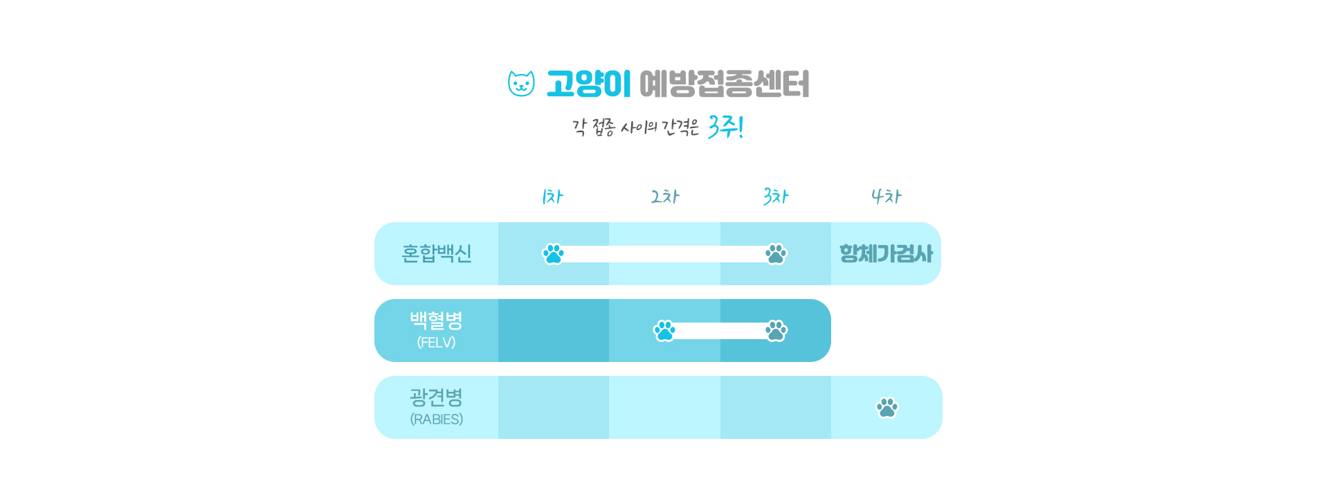 고양이예방접종 스케쥴표