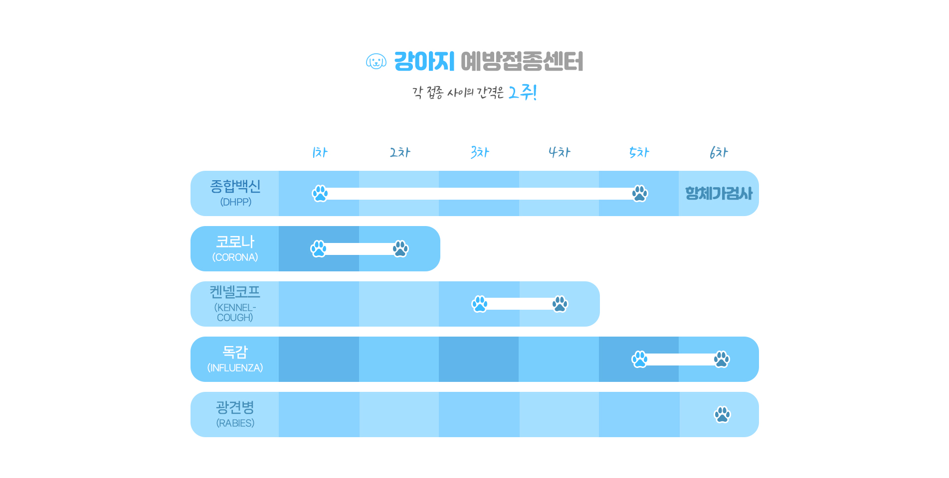 강아지예방접종 스케쥴표